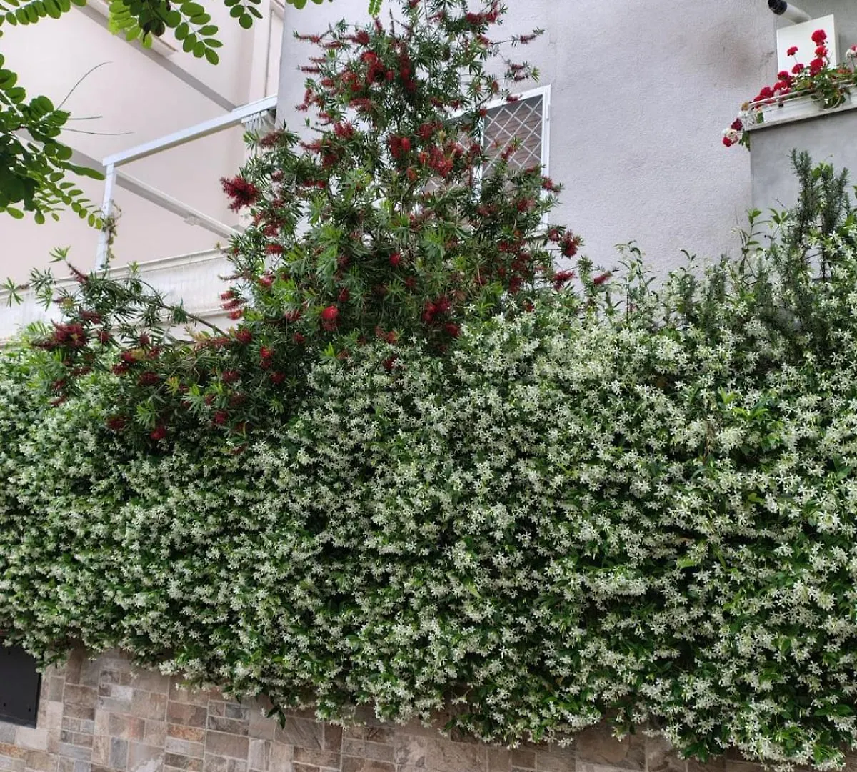 Appartamento Il Pozzo Roma